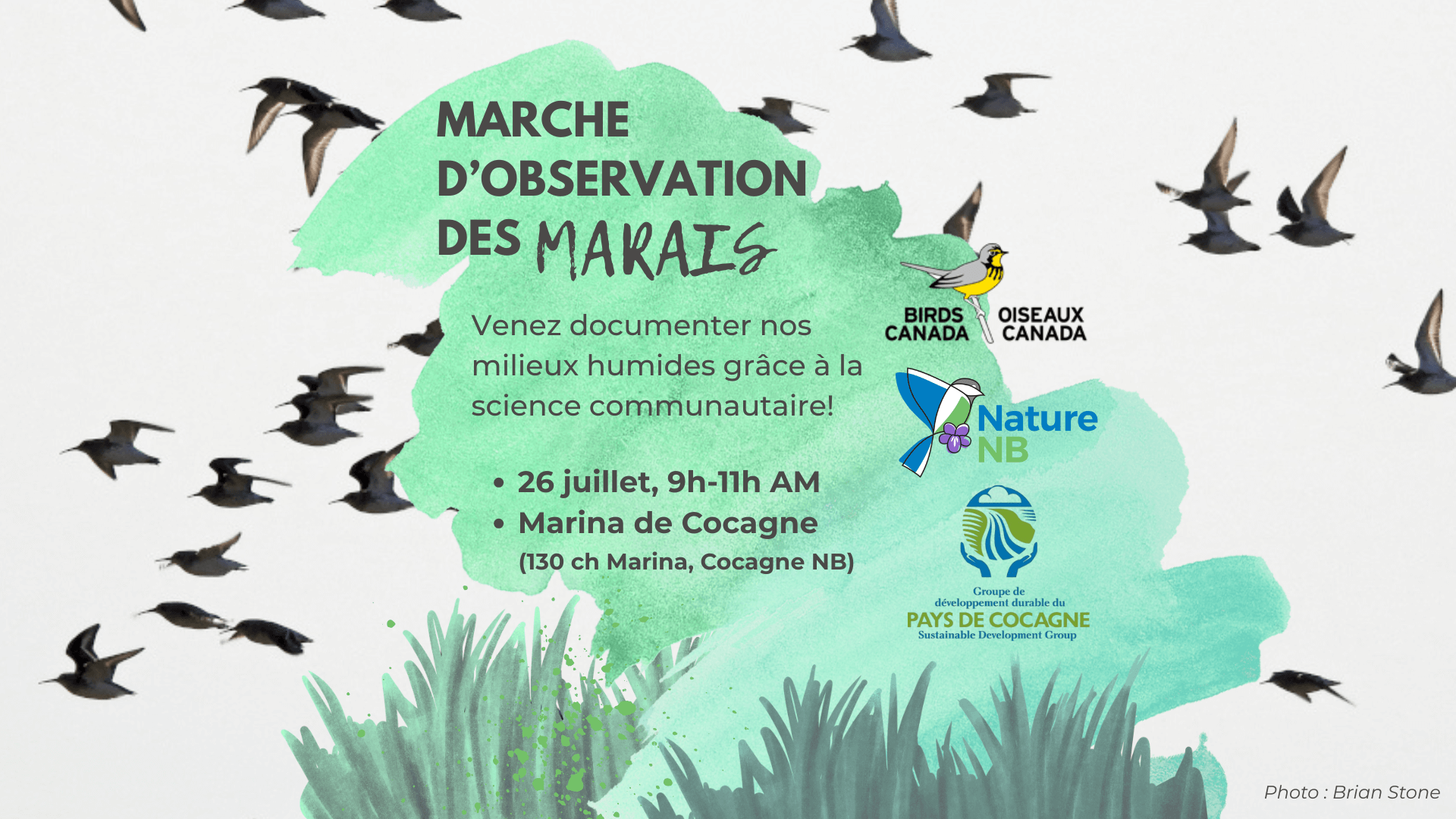 MarshWatch Walk (French Program)